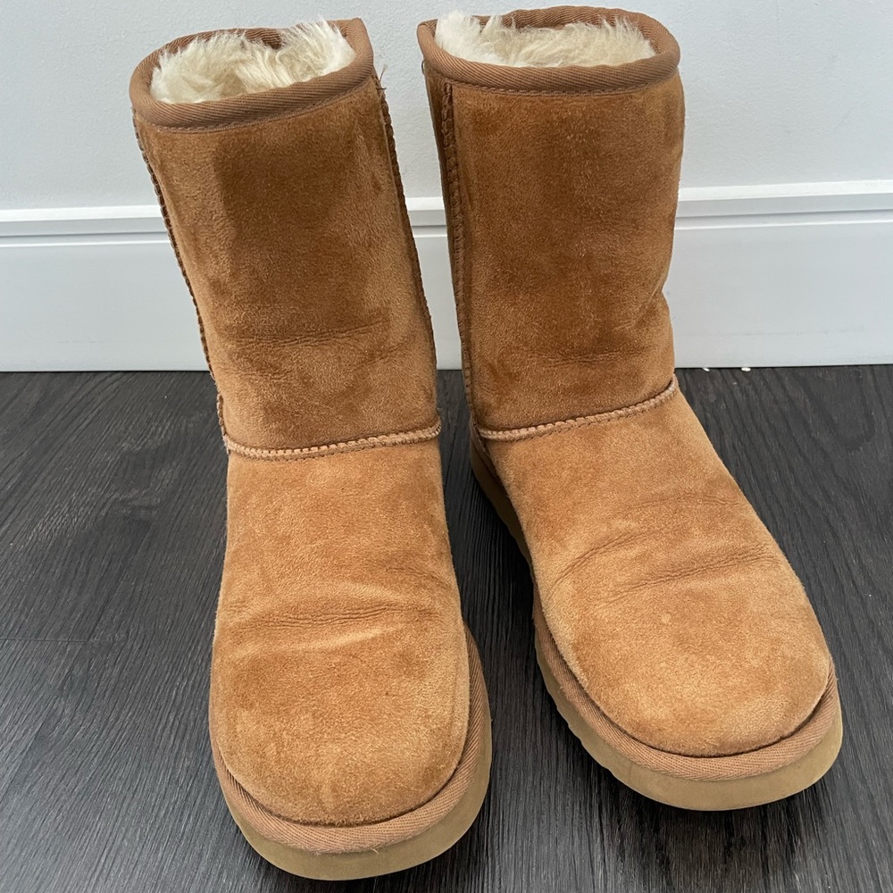 Uggs classic short